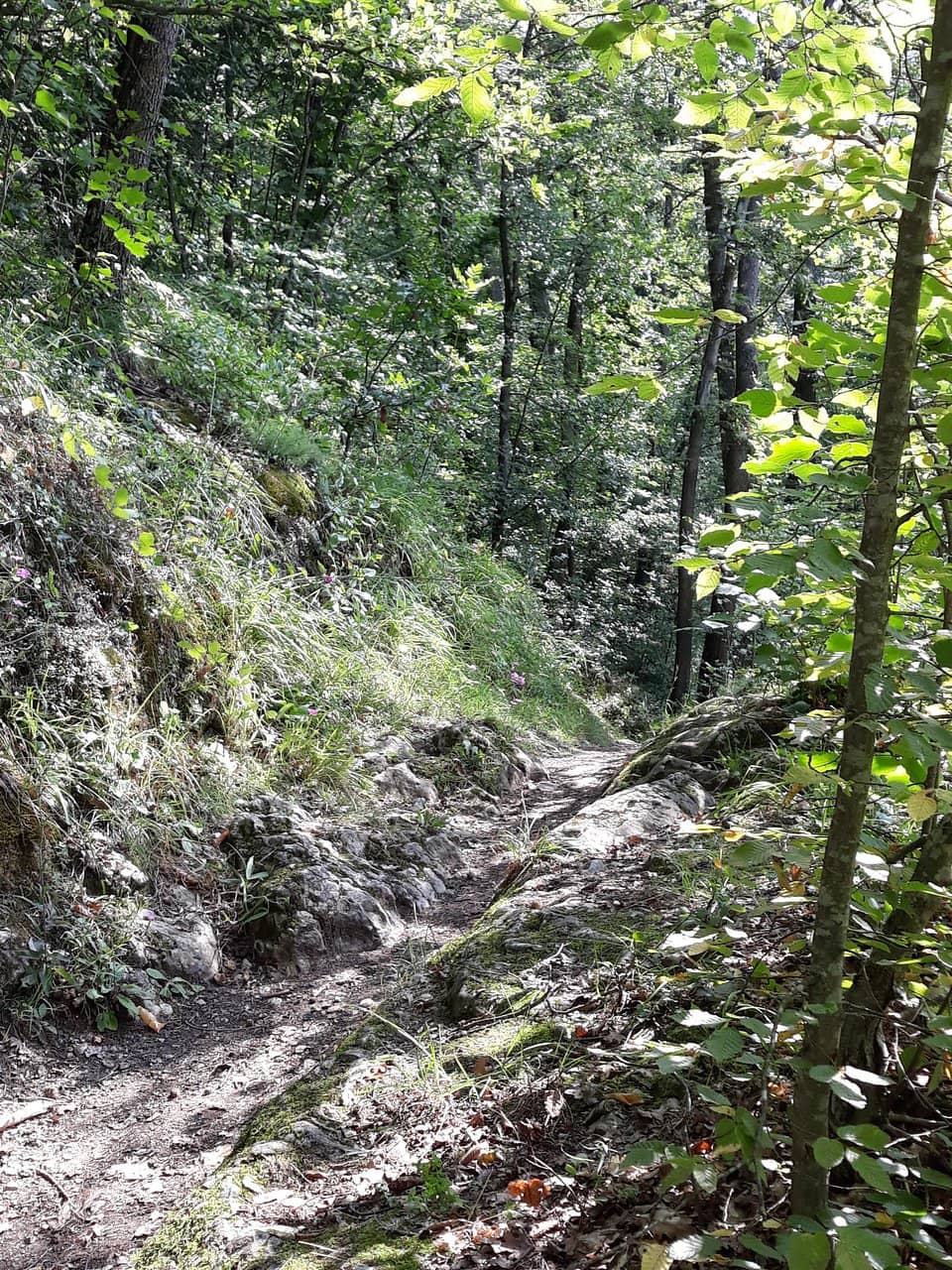 Ancient Churches & Buildings