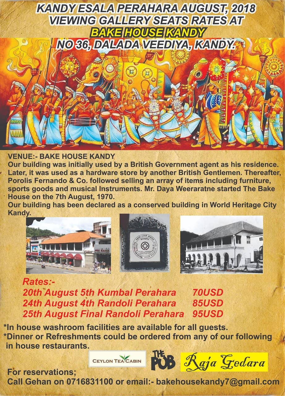 Cozy Dining Experience