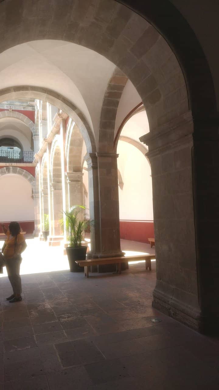 Donated Organ