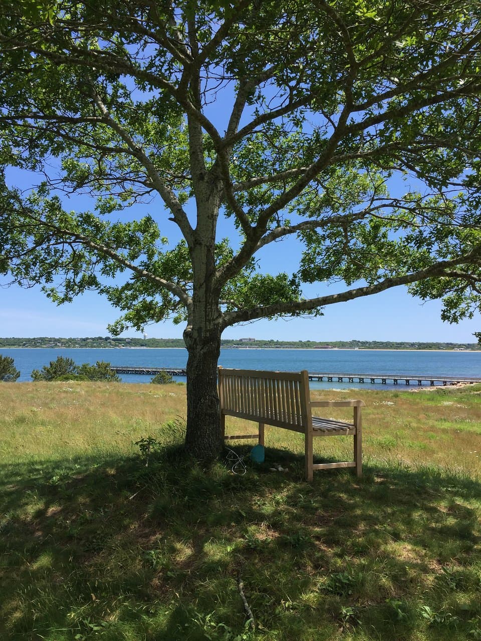 What a great park! Hike up the hill for this view!