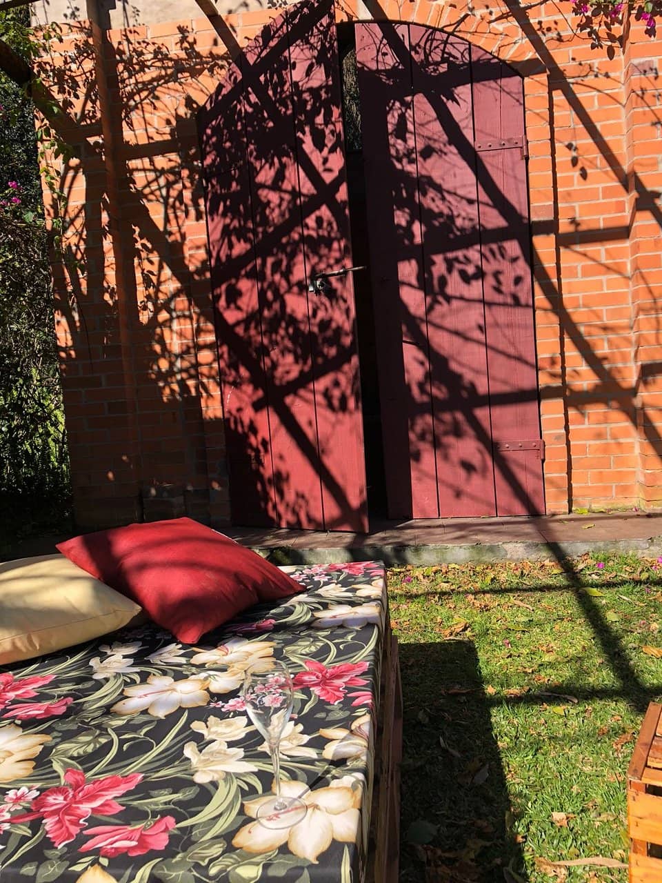 Vineyard Picnic Experience