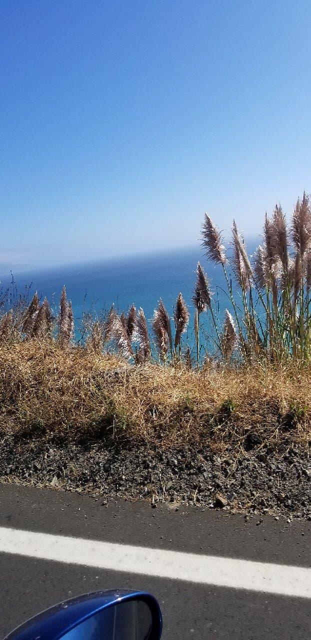 Mill Creek Picnic Area