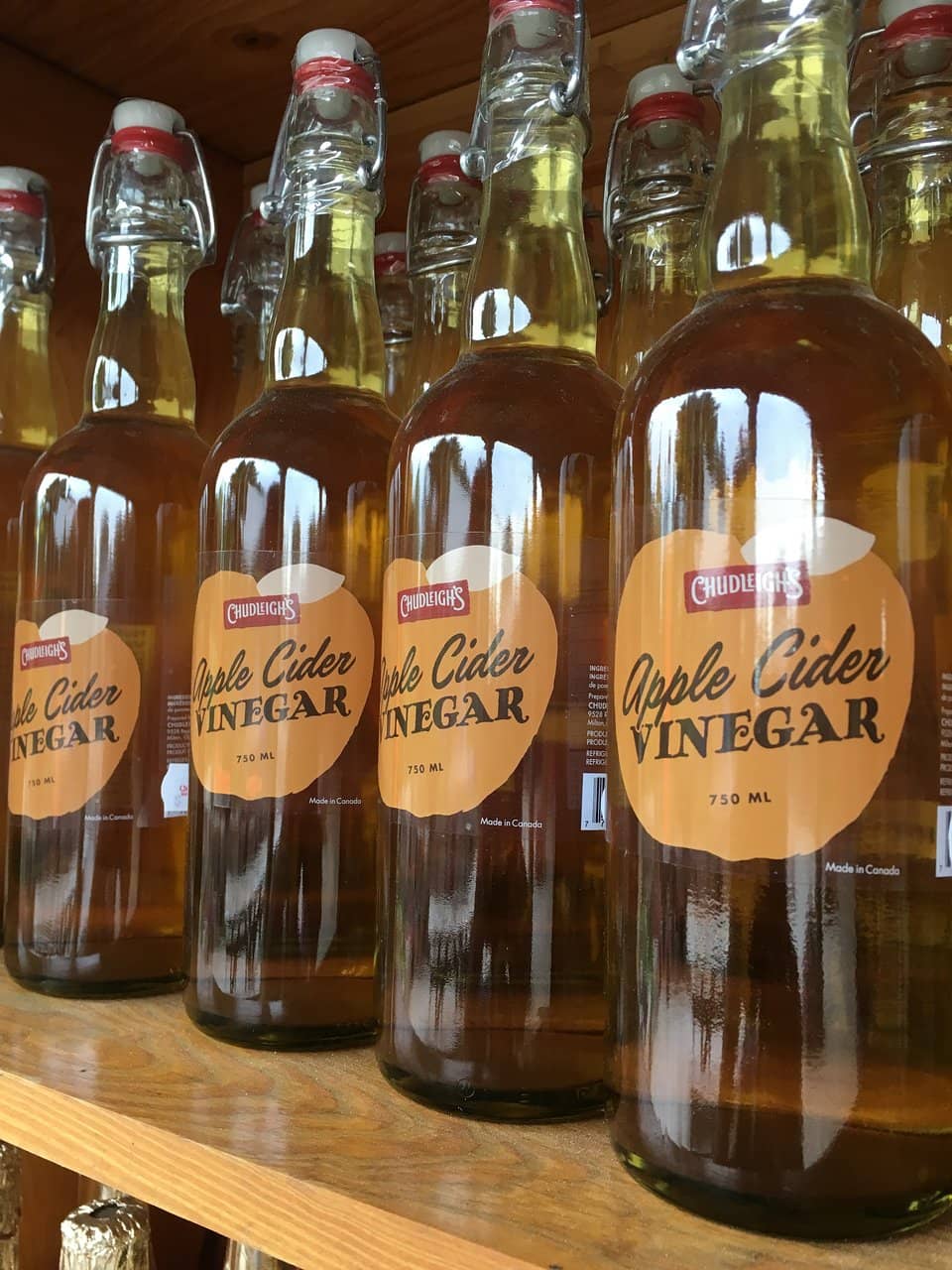 Adventure Playground