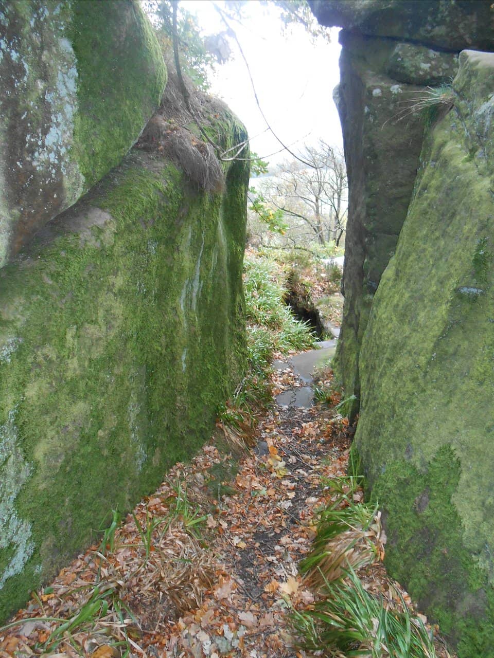 The Nine Ladies Stone Circle