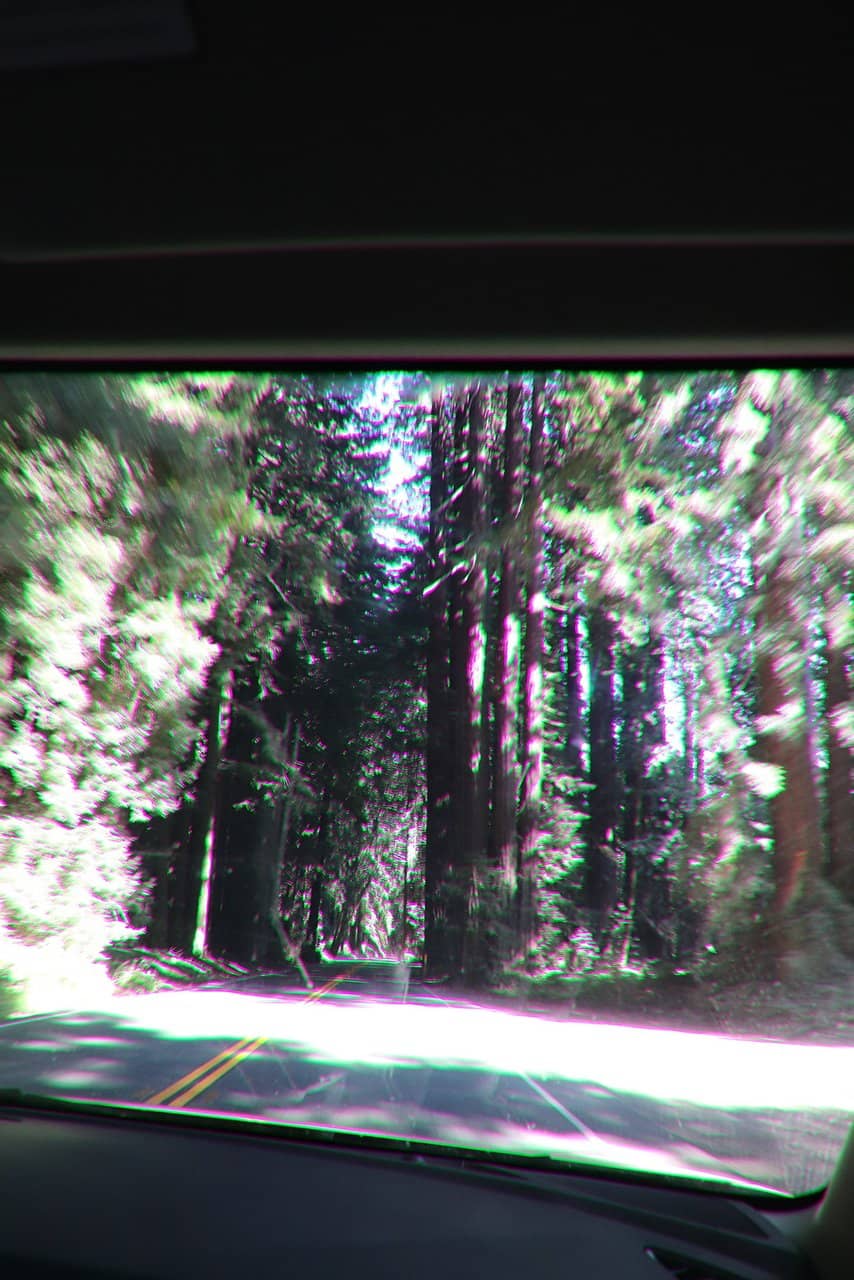 Navarro River Serenity