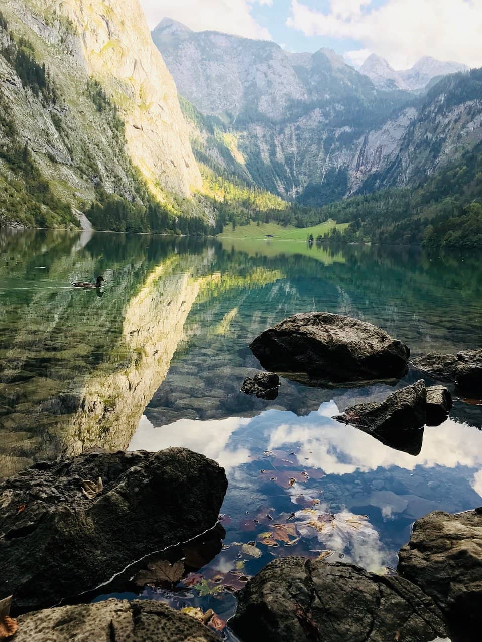 Fischunkelalm