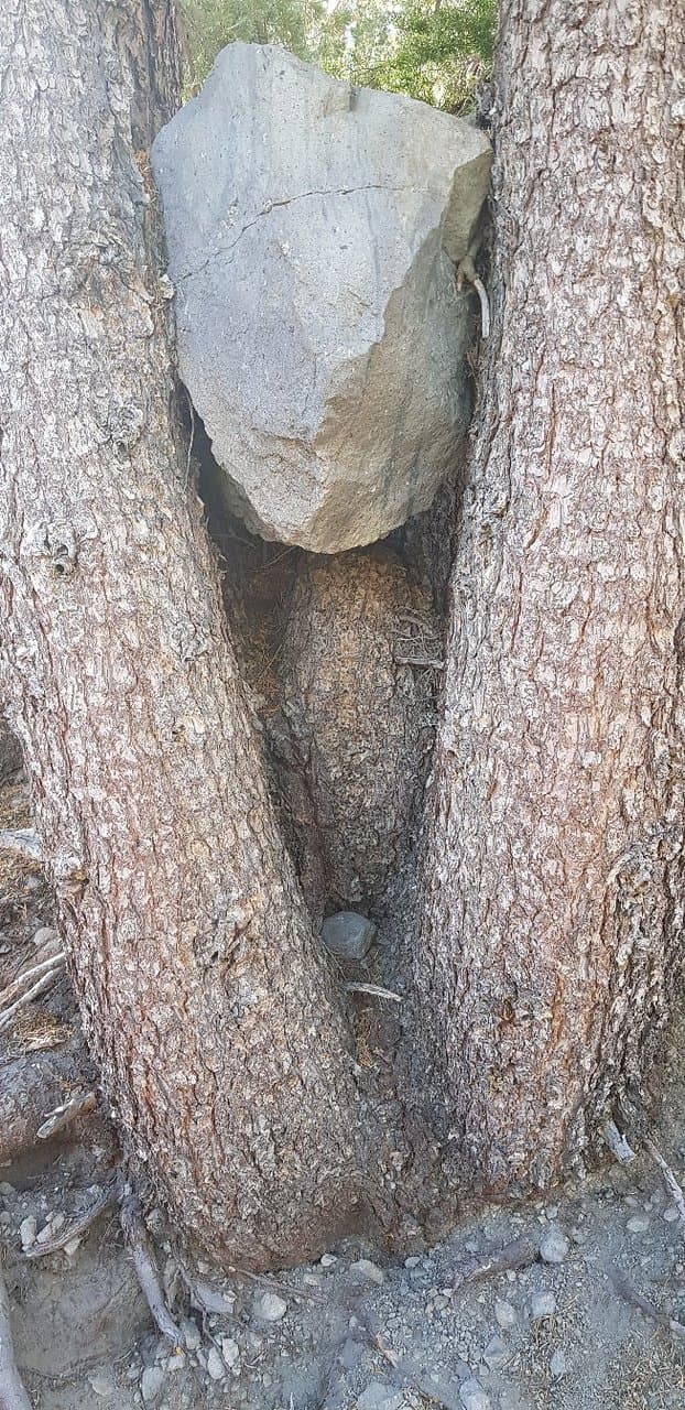 Mount Rose Summit Trail