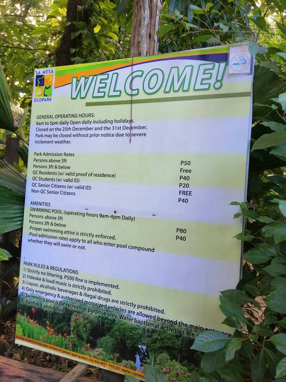 Nature Trails & Mini Forest