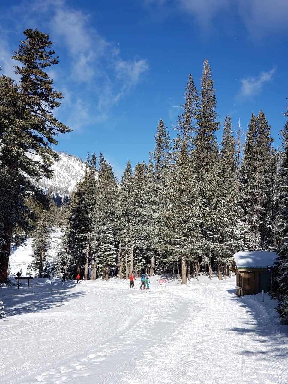 Groomed Cross-Country Trails