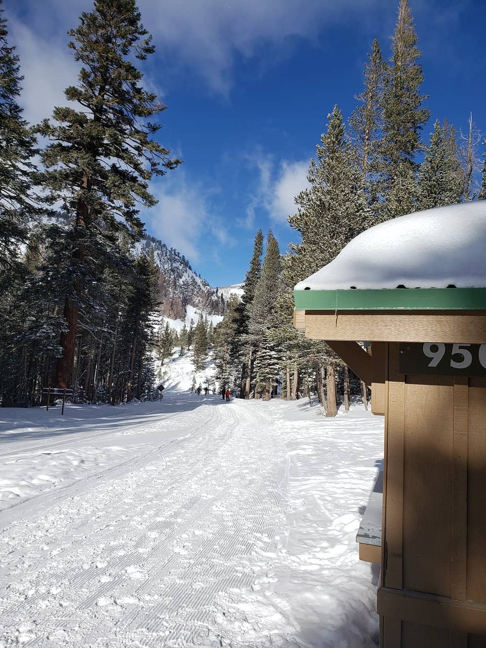 Snowshoeing Adventures