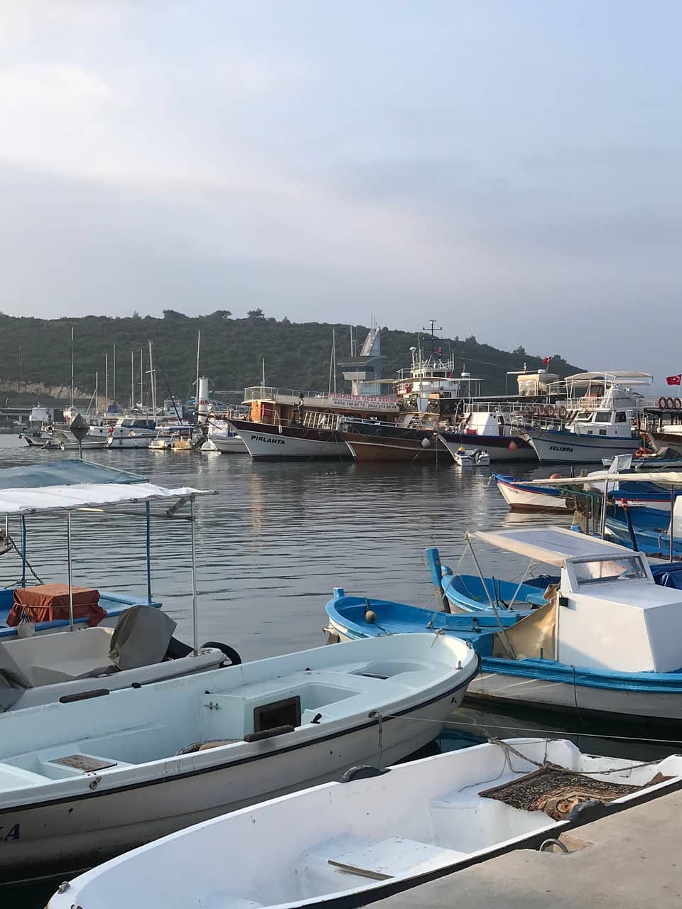 Sandy Shores & Rentals