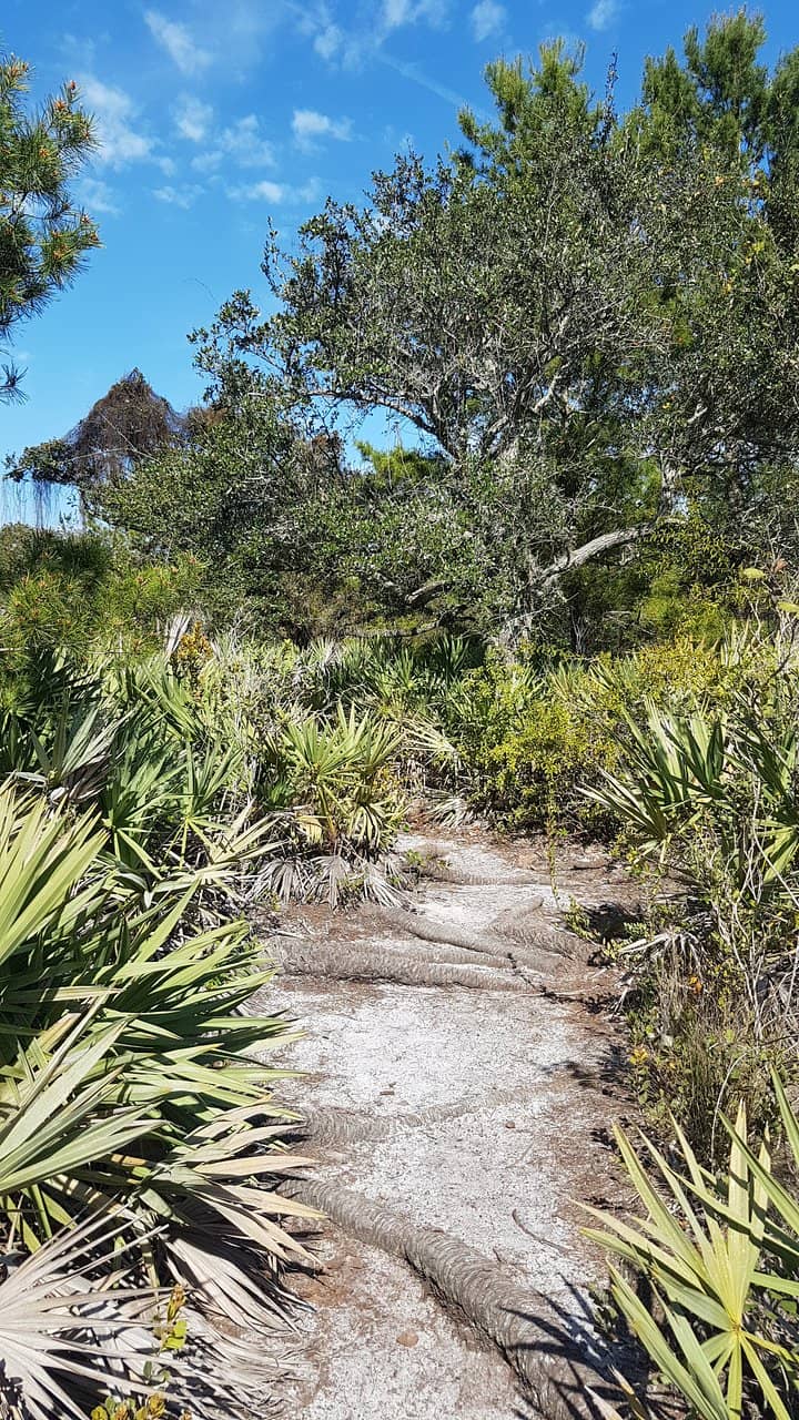 El Rio Trail Connection