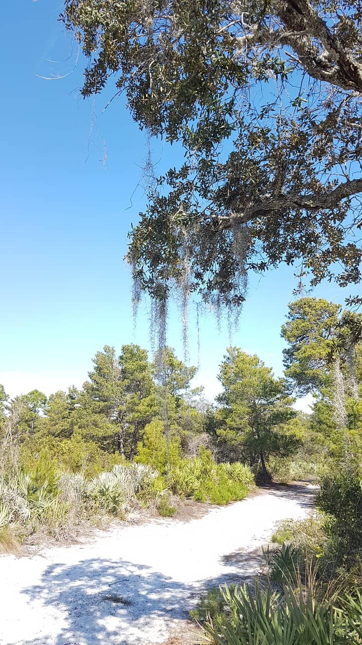Diverse Native Habitats
