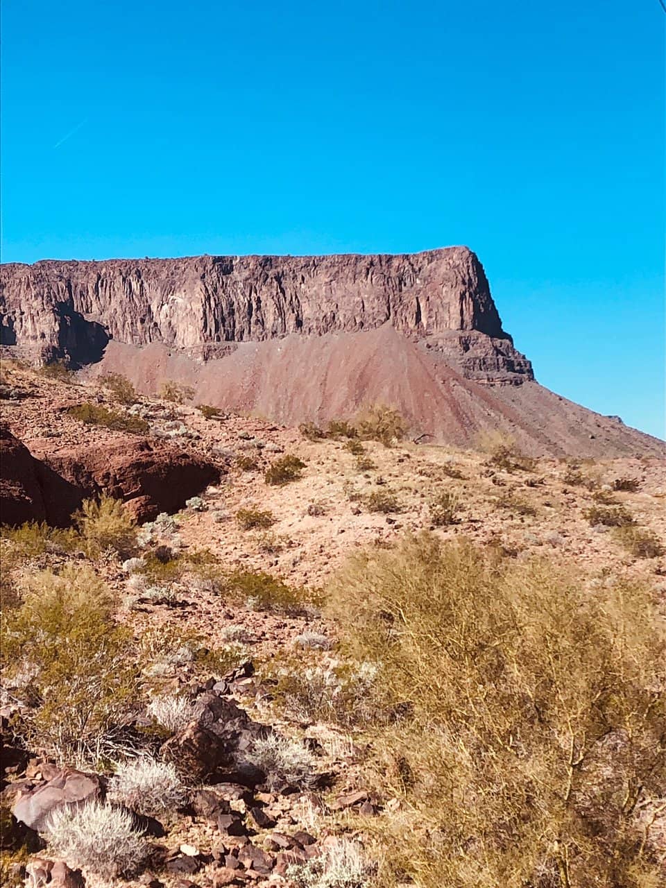 Vertical photo