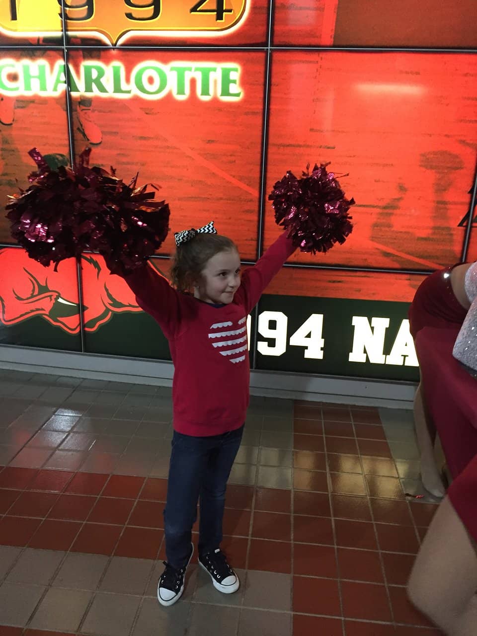 Razorback-Themed Museum