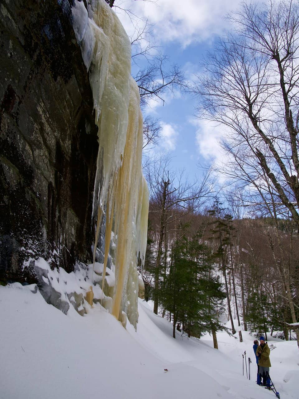 Vertical photo