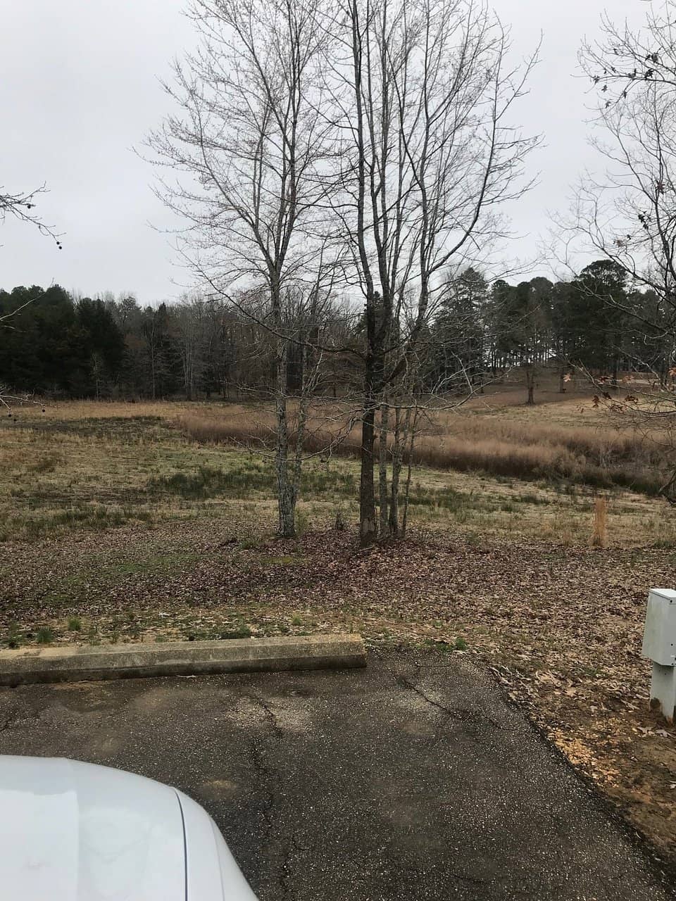 Natchez Trace Parkway Drive