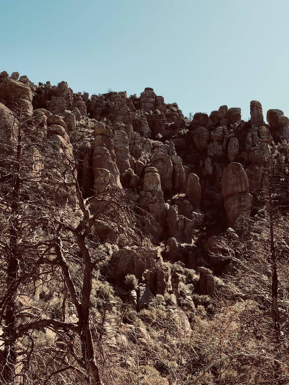 Vertical photo