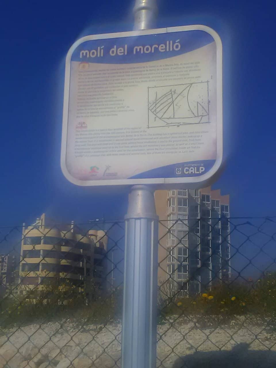 Vertical photo