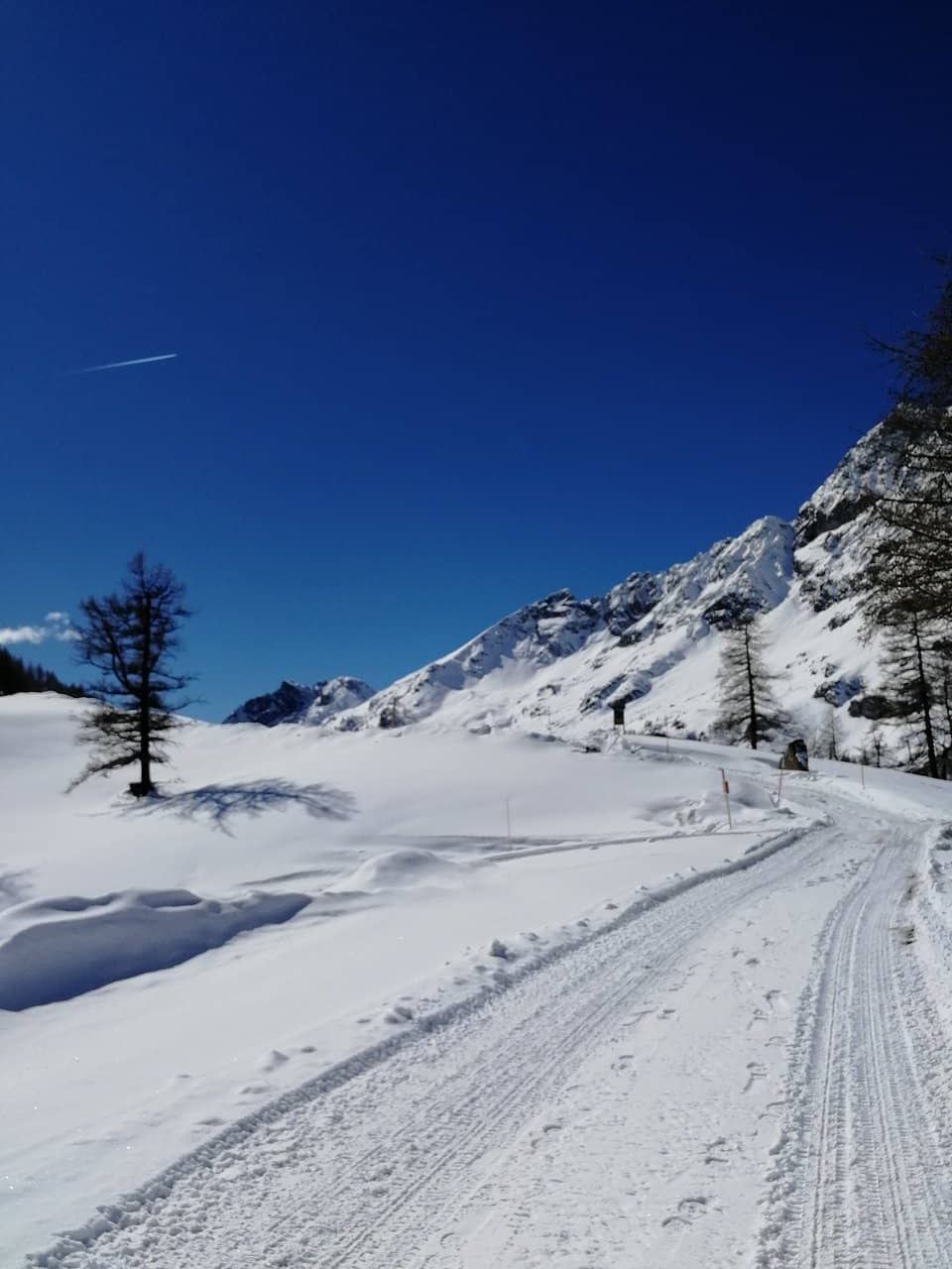 Panoramic Mountain Views