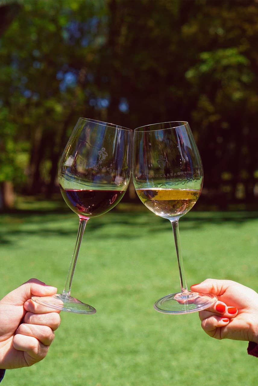 Exceptional Wine Quality