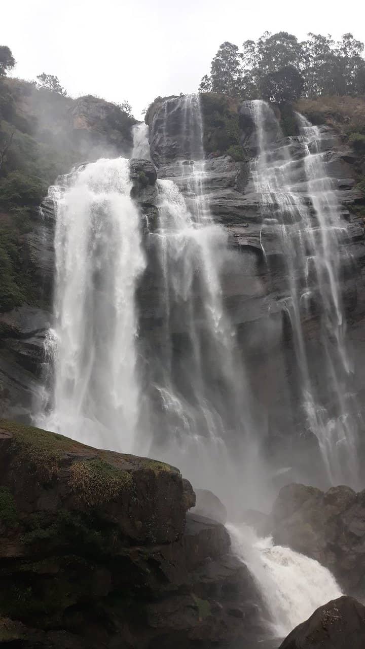 Misty Highland Hike