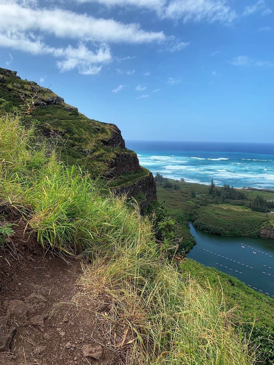 Panoramic Ocean Vistas
