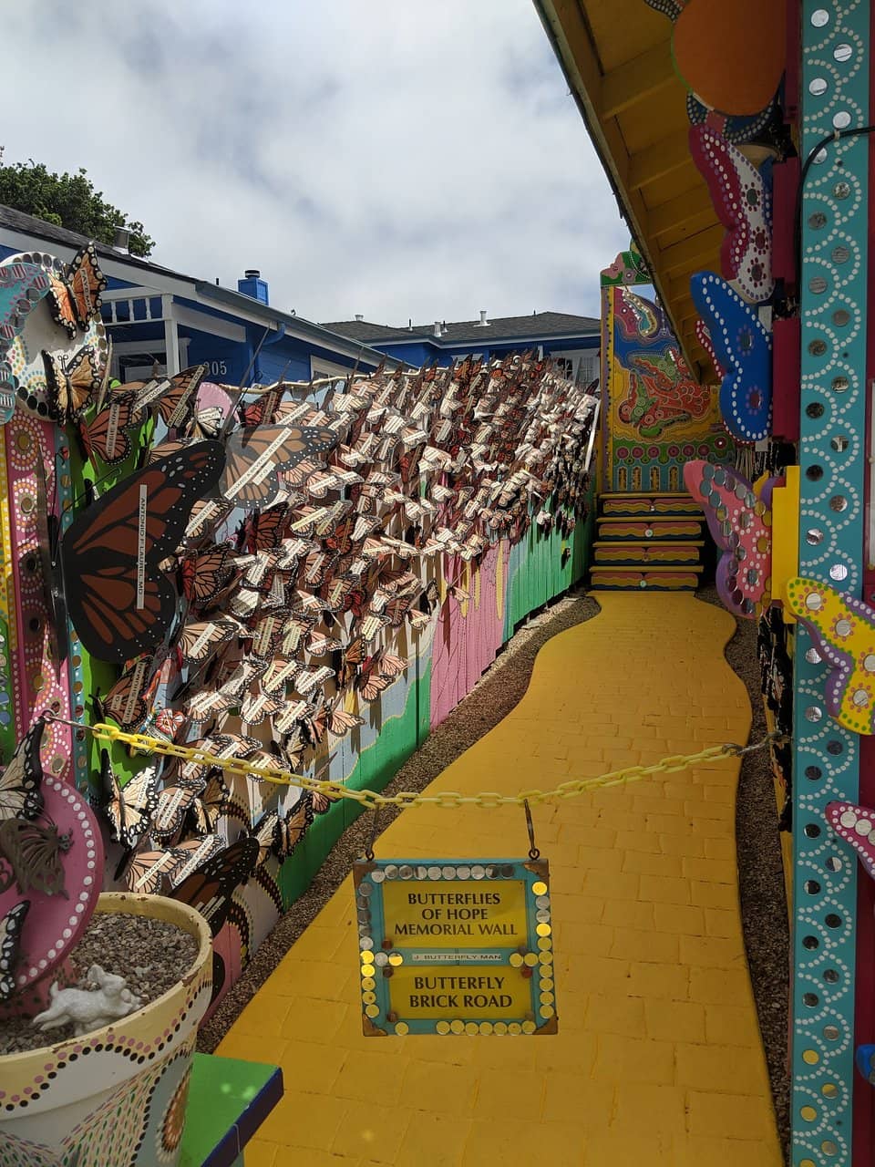 Vertical photo