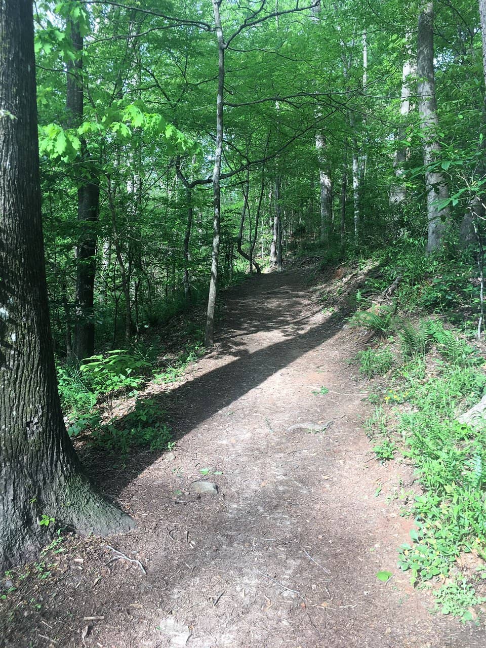 Scenic Walking Trails