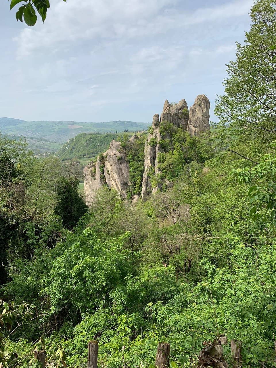 Vertical photo