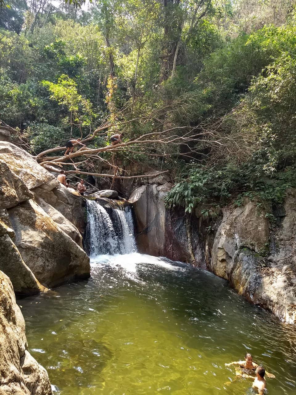 Natural Swimming Pools