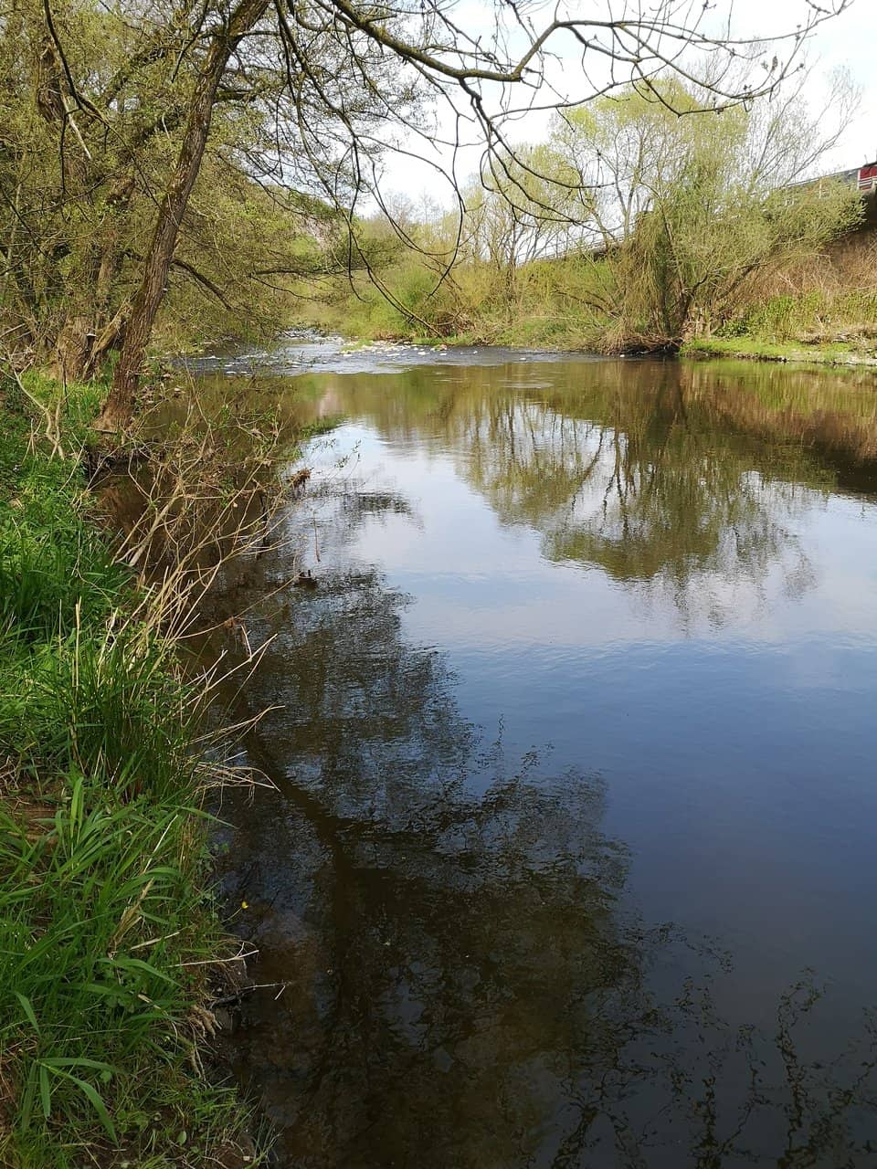 Bosselstein Castle Ruins
