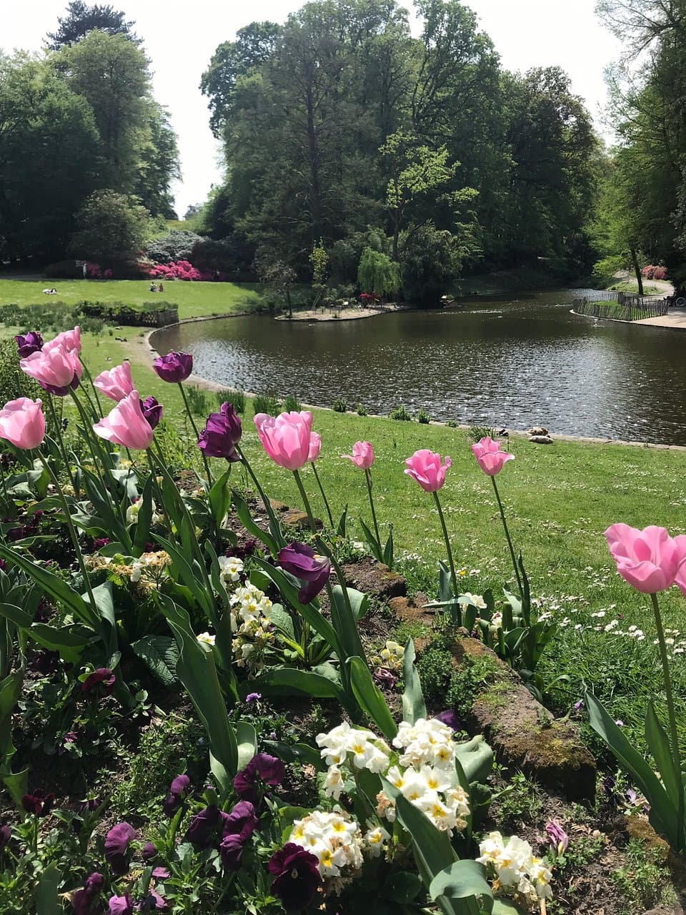 Parc de la Gaudinière