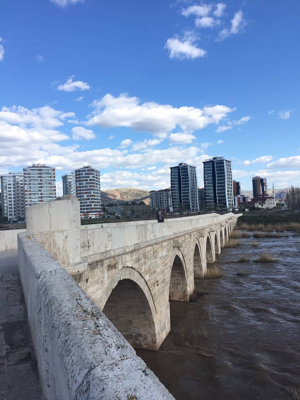 Vertical photo