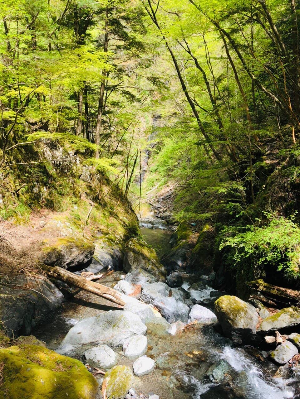 Scenic Hiking Trail