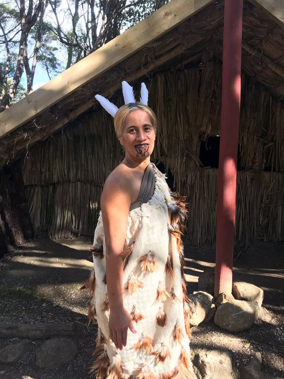 Small Museum & Artifacts