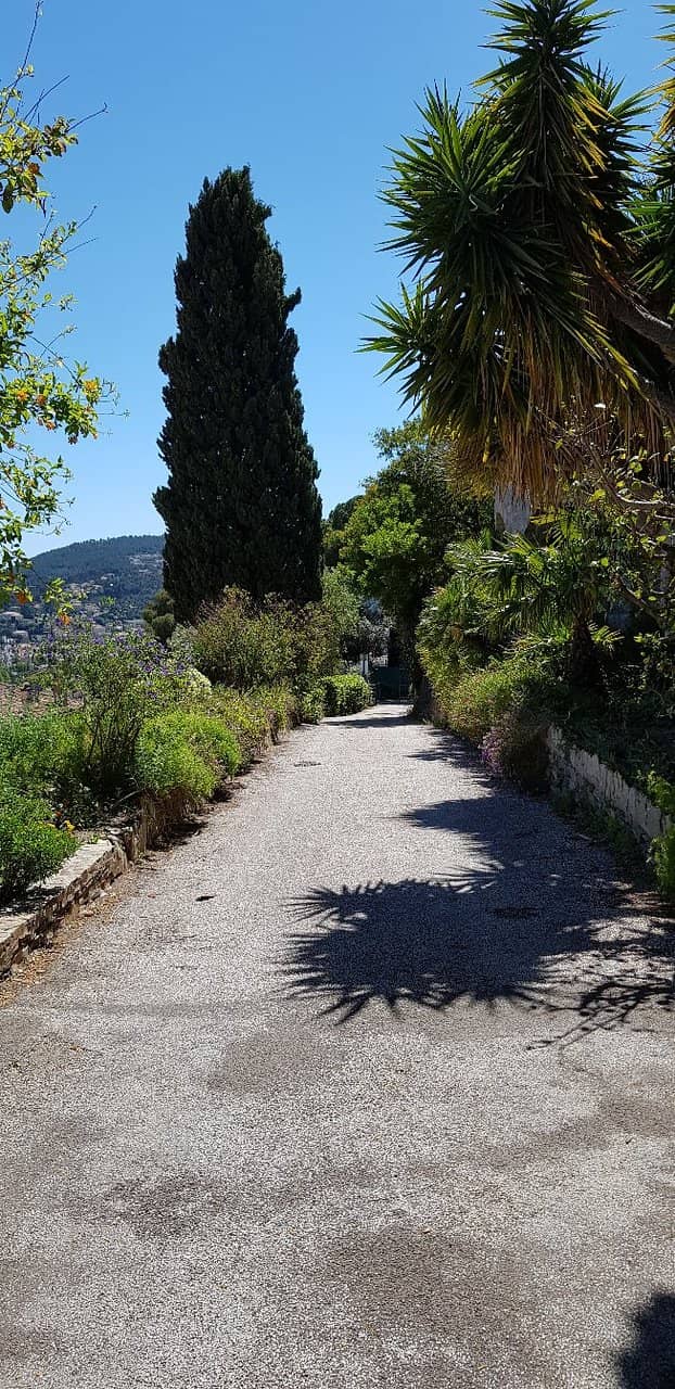 Mediterranean Gardens