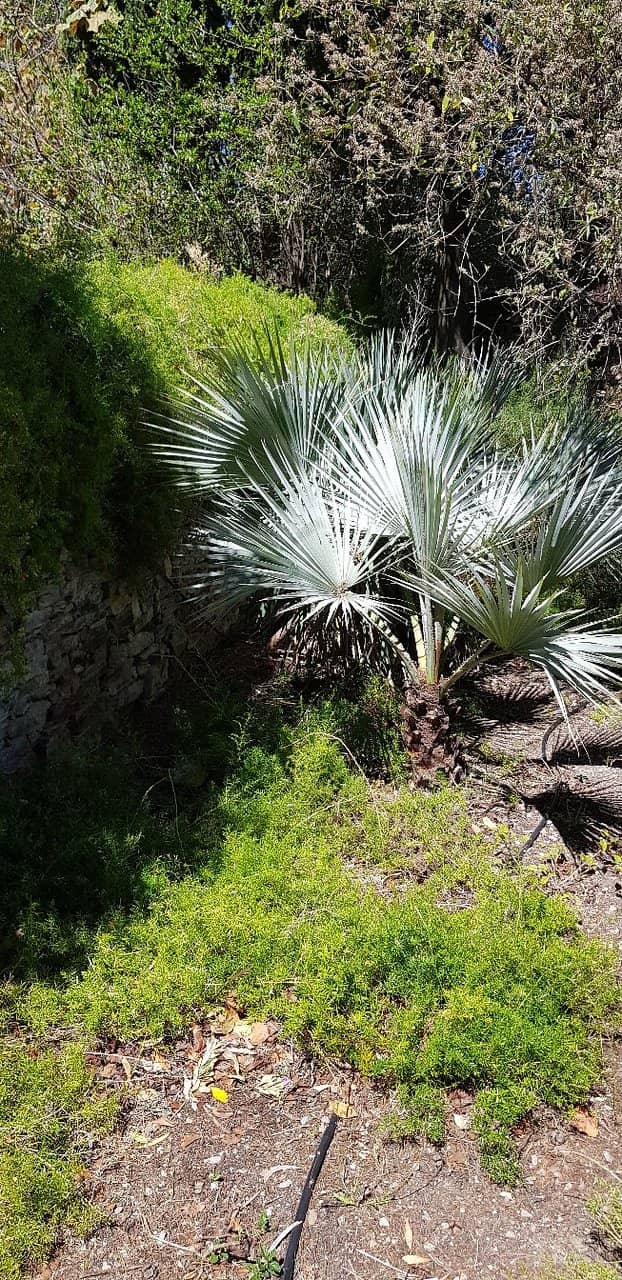 Castle Sainte-Claire