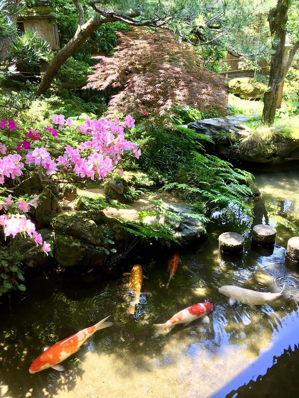 Nomura Samurai House