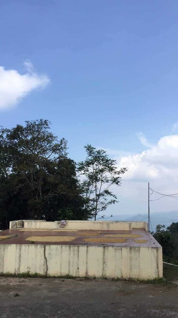 Mystical Midpoint of Java