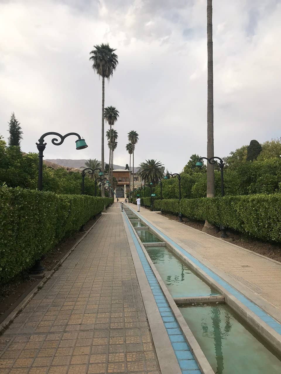 Fragrant Orange Groves