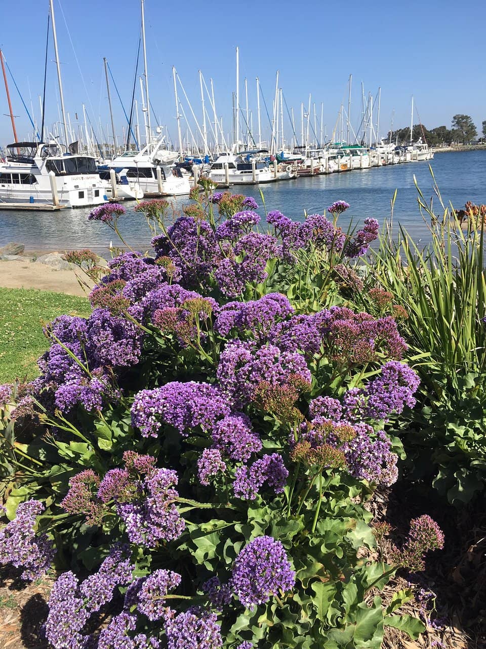 Paved Walking and Cycling Paths