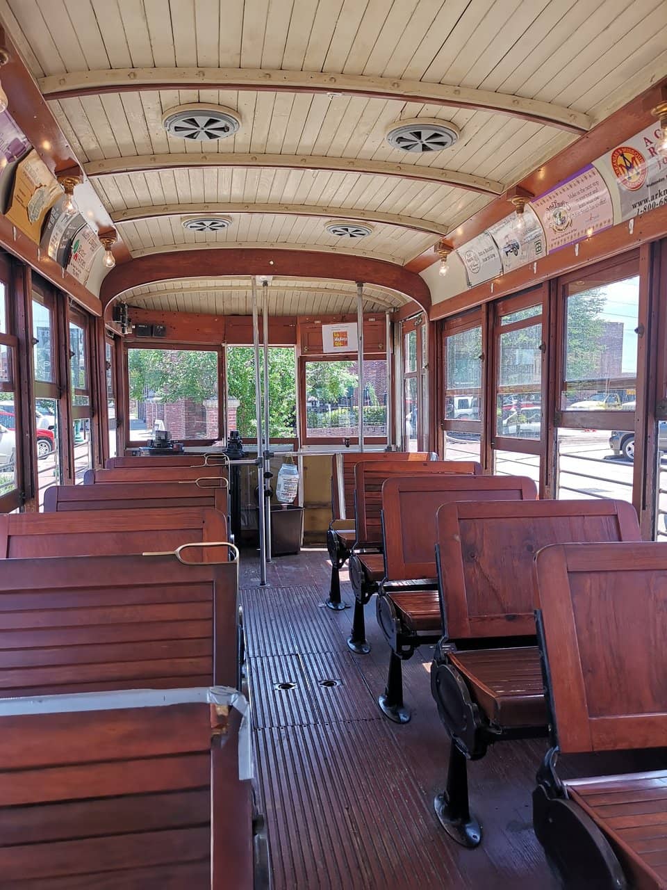 Friendly Feline Residents