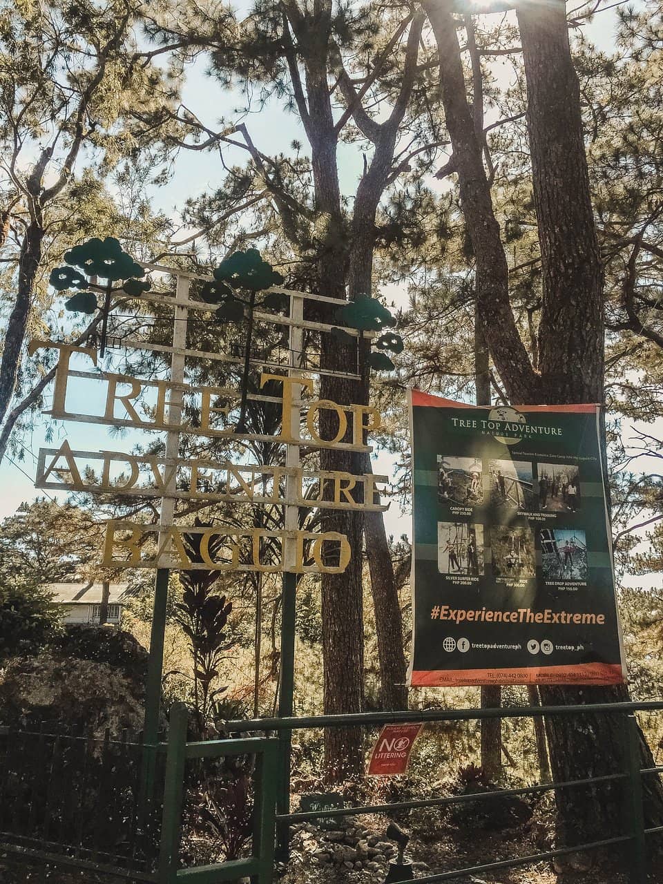 Treetop Climbs