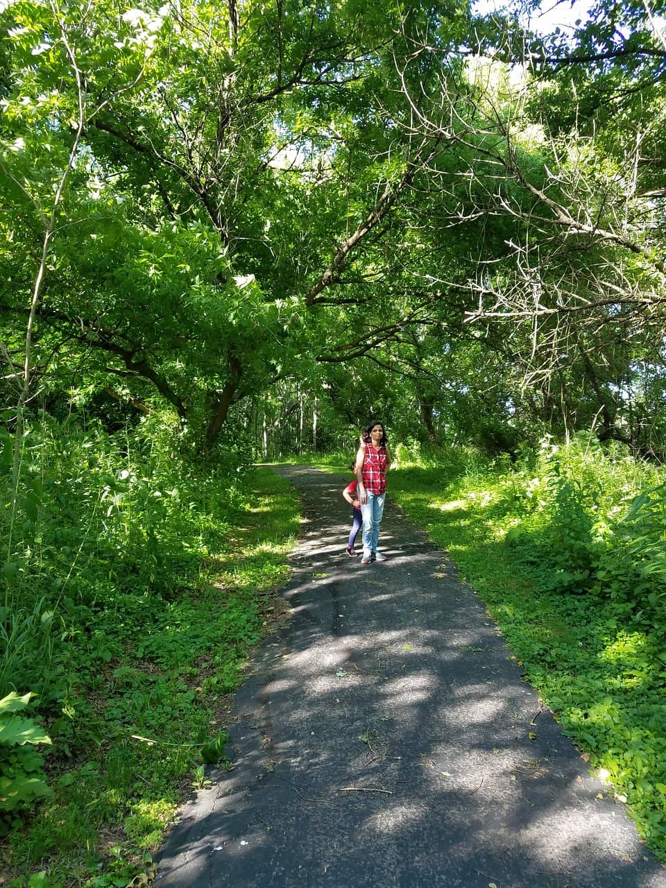 Wild Orchid Discovery