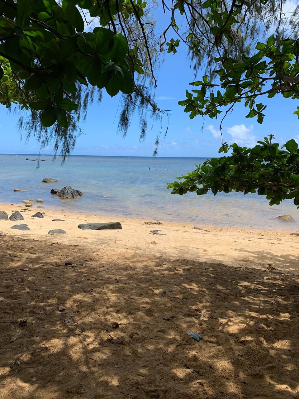 Excellent Snorkeling Spot