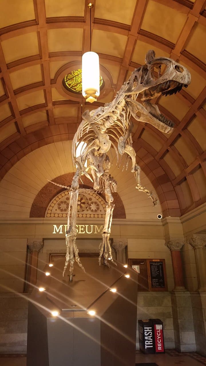 Cryolophosaurus greeting Orton Museum visitors