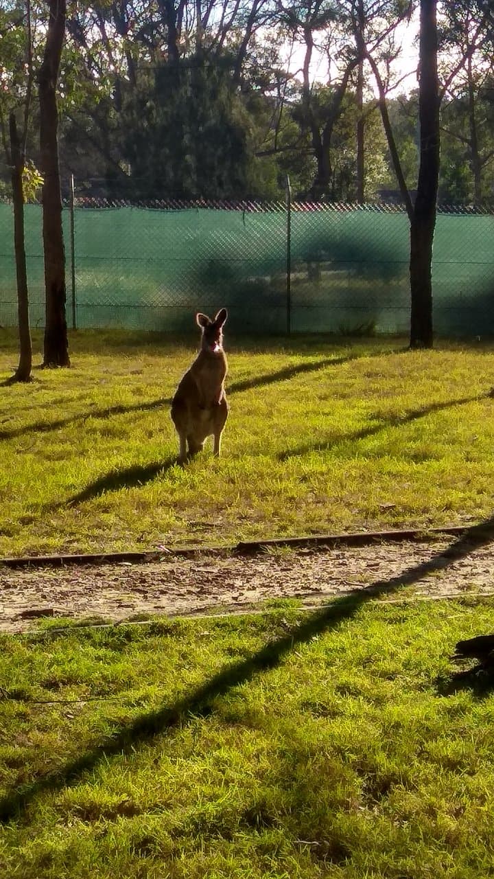 Australian Wildlife Sanctuary
