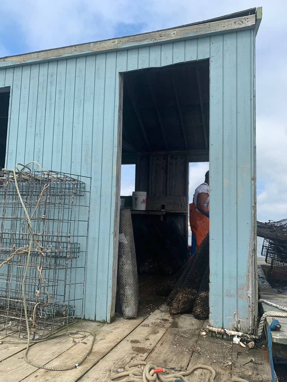 Boating and Marina Life