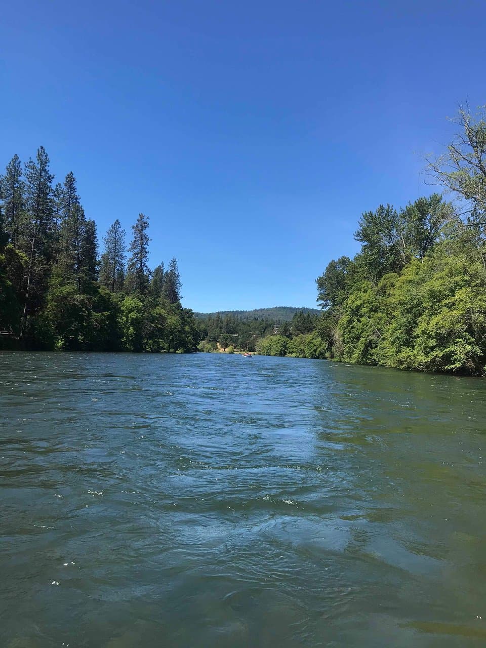 Rogue River Shady Cove Rafting
